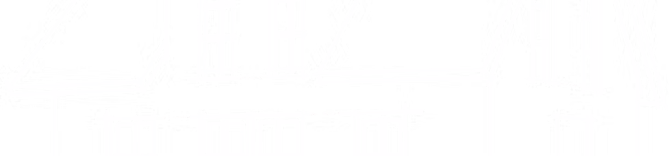 bgImage